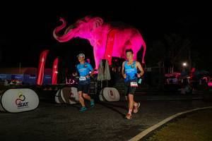 BIB: 
                            <button type="button" onclick="openModal(26534226)" class="btn btn-primary btn-sm float-right btn-popup" data-toggle="modal" data-target=".modal-high-quality">
                        <i class="fas fa-shopping-cart"></i> Add to Cart
                    </button>
                                            <button type="button" onclick="isThisMe(26534226, true)" class="btn btn-success btn-sm float-right btn-popup btn-isme hidden" data-toggle="tooltip" data-placement="bottom" title="นี่คือรูปของคุณใช่ไหม คลิกที่นี่เพื่อเอาเข้าอัลบั้ม">
                        <i class="fas fa-plus"></i> Add to album
                    </button>
                    <button type="button" onclick="isThisMe(26534226, false)" class="btn btn-warning btn-sm float-right btn-popup btn-isnotme hidden">
                        <i class="fas fa-ban"></i> Remove from album
                    </button>